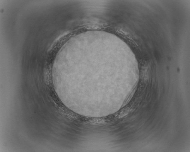 X0000067841446200605111630