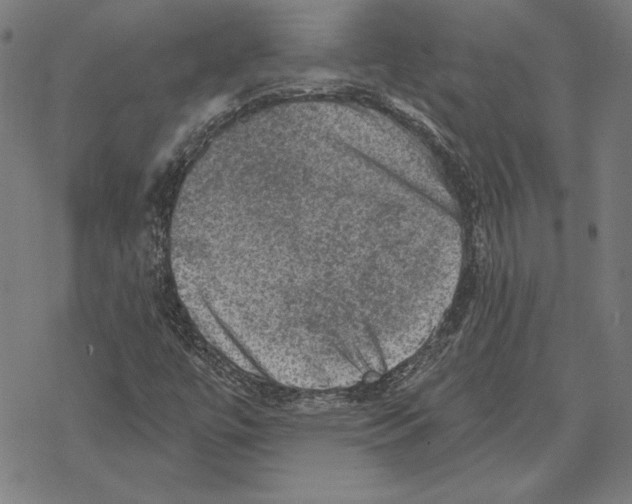 X0000067841447200605111630