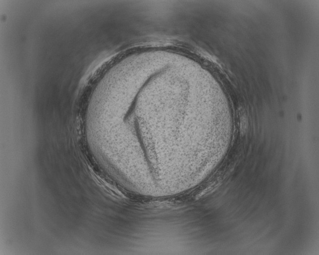 X0000067841448200605111630