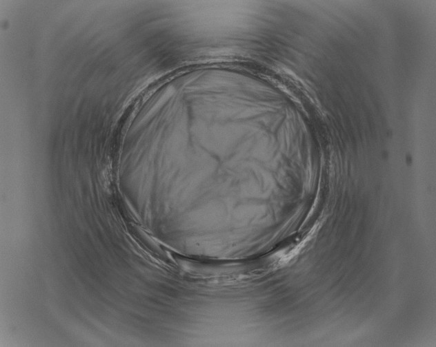 X0000067841449200605111630