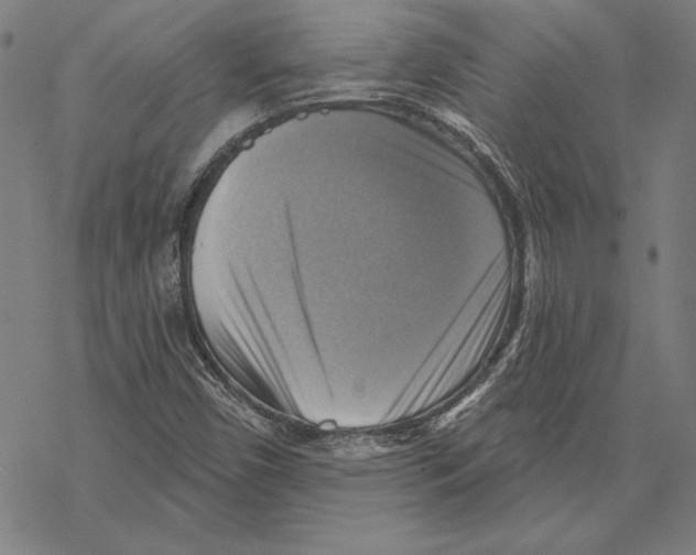 X0000067841450200605111630