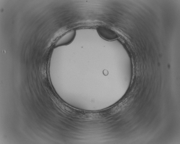 X0000067841451200605111630