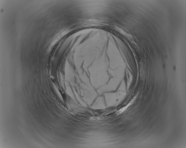 X0000067841453200605111630