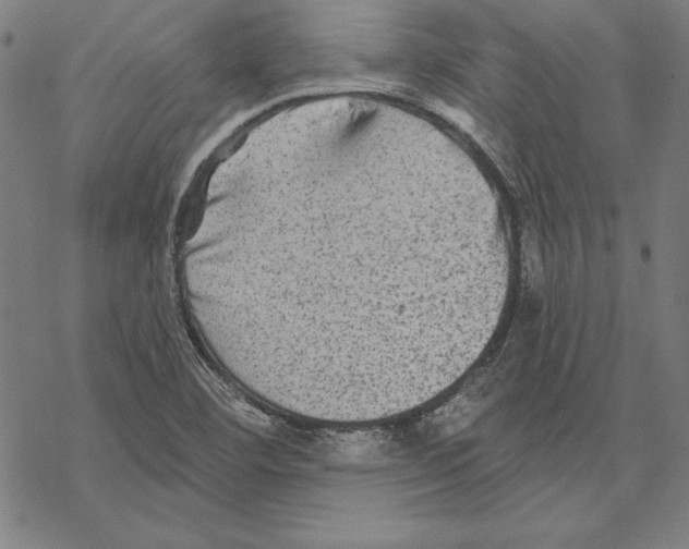 X0000067841460200605111630