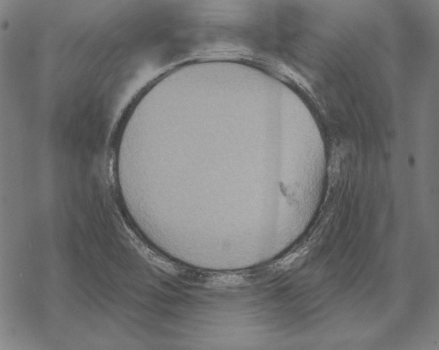 X0000067841462200605111630