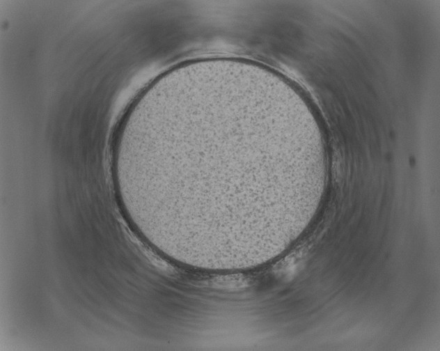 X0000067841464200605111630