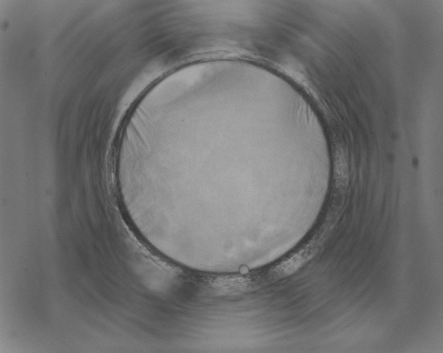 X0000067841466200605111630