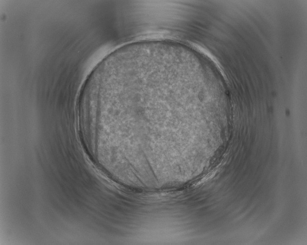 X0000067841467200605111630