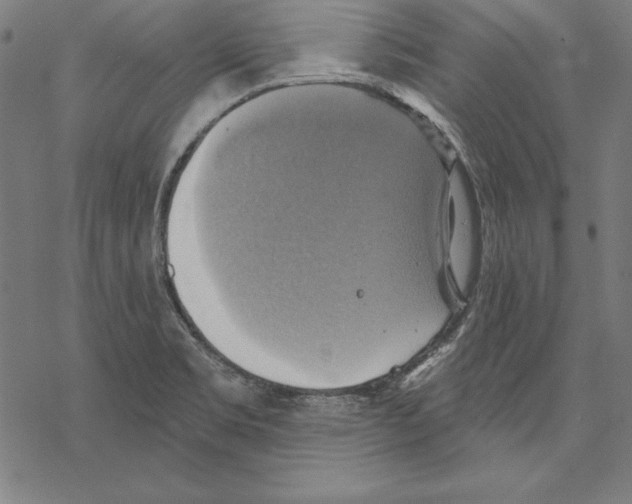 X0000067841469200605111630