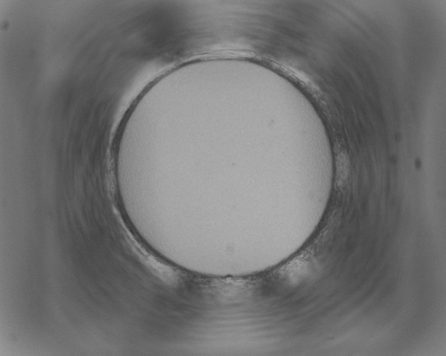 X0000067841470200605111630