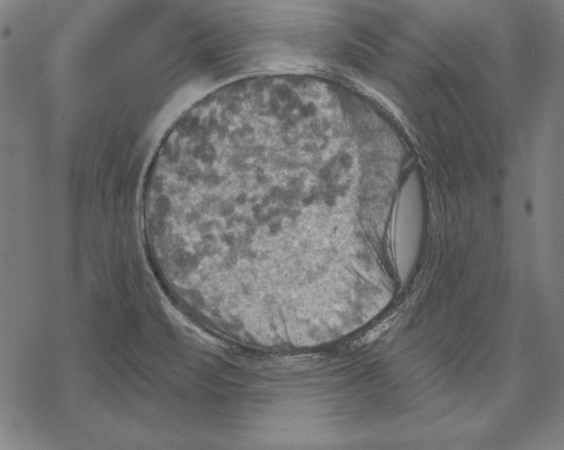 X0000067841471200605111630