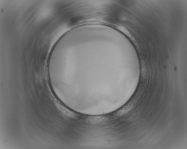 X0000067841474200605111630