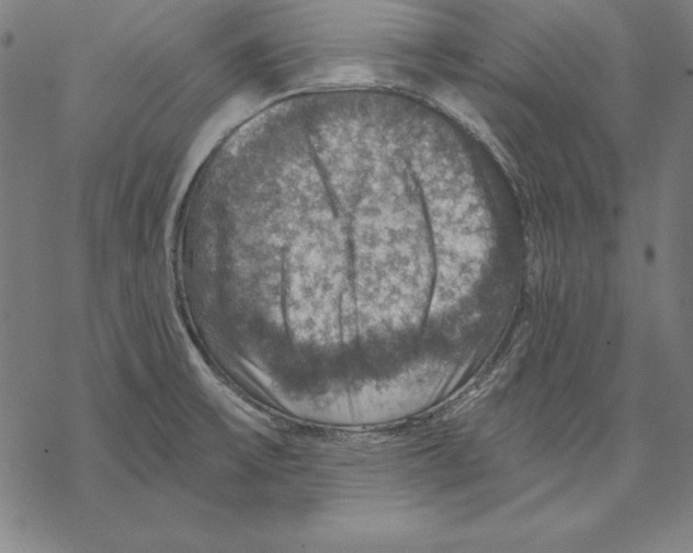 X0000067841475200605111630