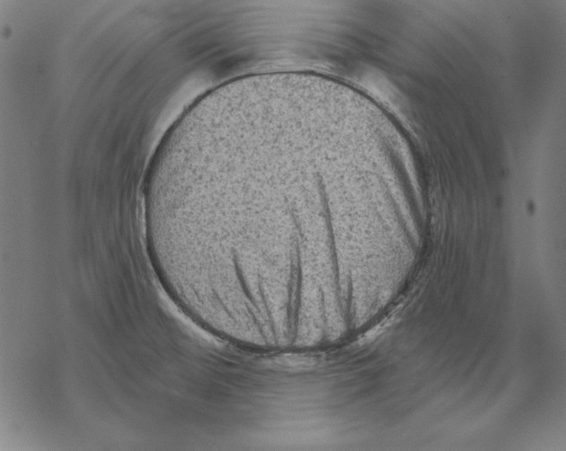 X0000067841476200605111630