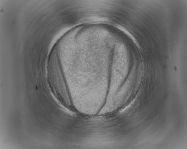 X0000067841477200605111630