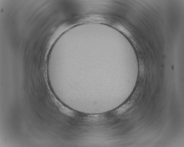 X0000067841478200605111630