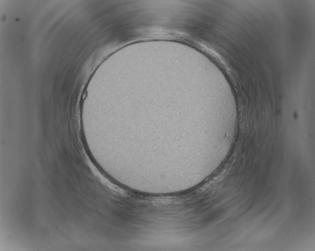 X0000067841479200605111630