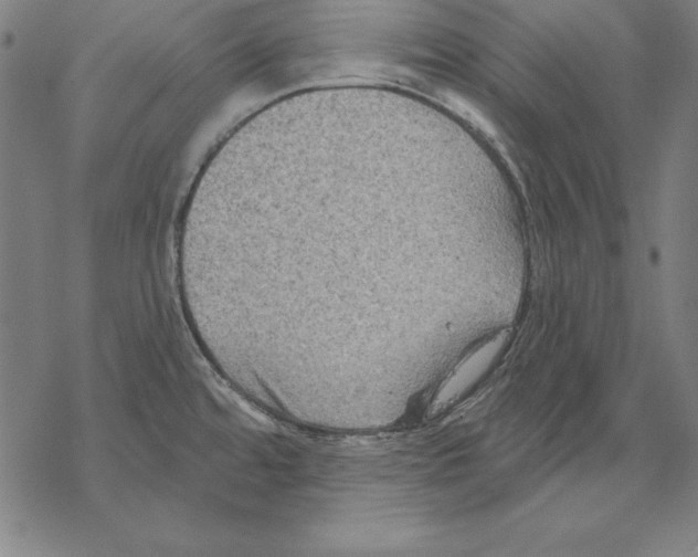 X0000067841480200605111630