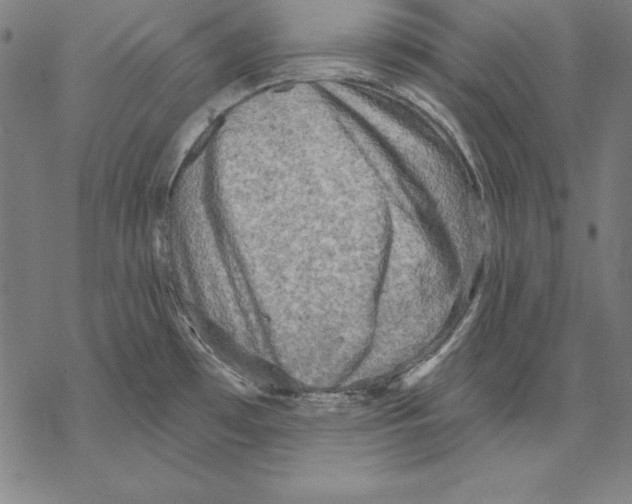 X0000067841481200605111630