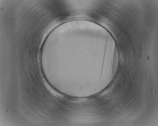 X0000067841482200605111630