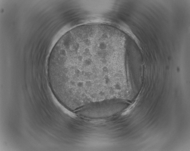 X0000067841483200605111630