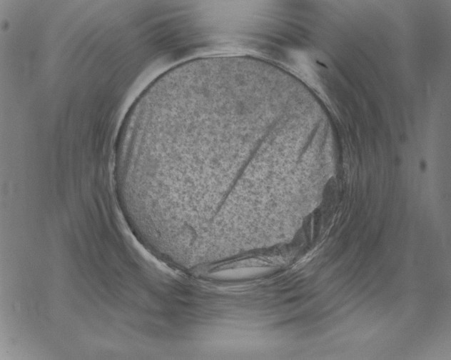 X0000067841484200605111630