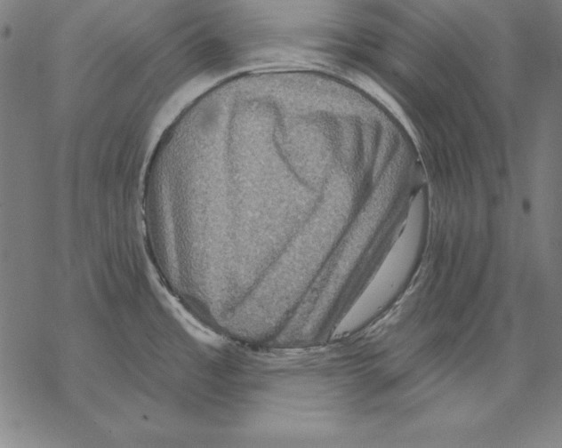 X0000067841485200605111630