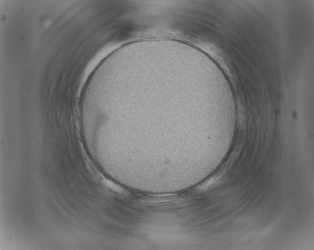 X0000067841486200605111630