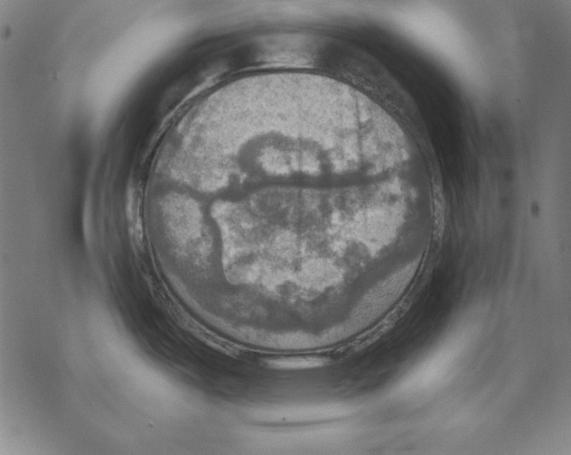 X0000067841487200605111630