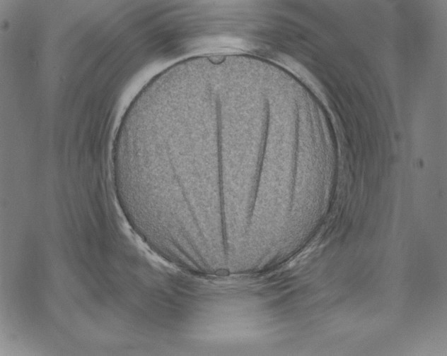 X0000067841488200605111630