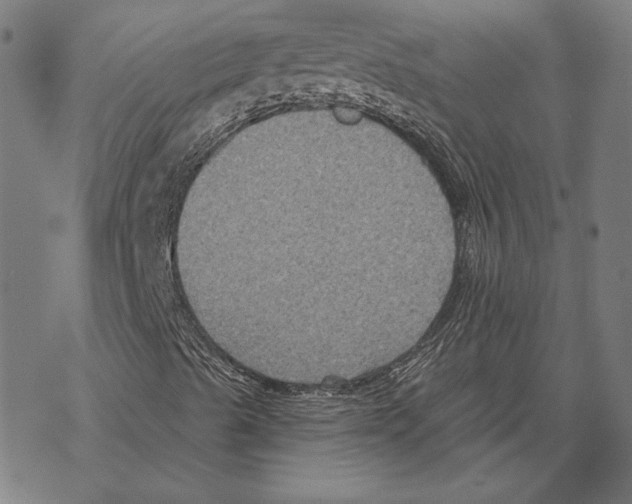 X0000067841489200605111629