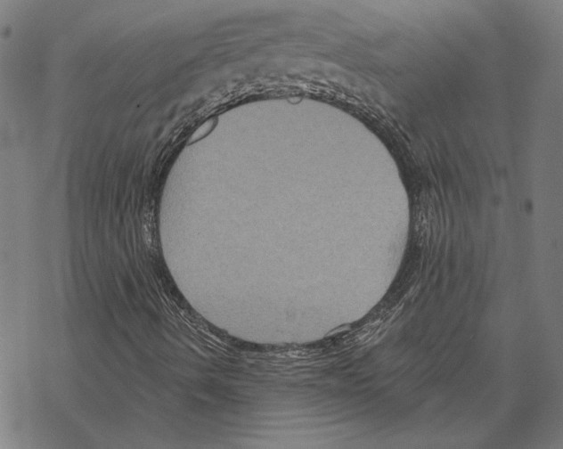 X0000067841490200605111629