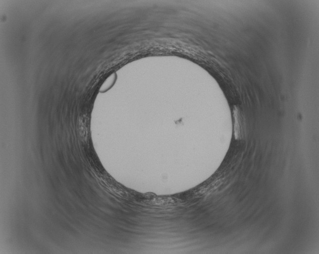 X0000067841491200605111629