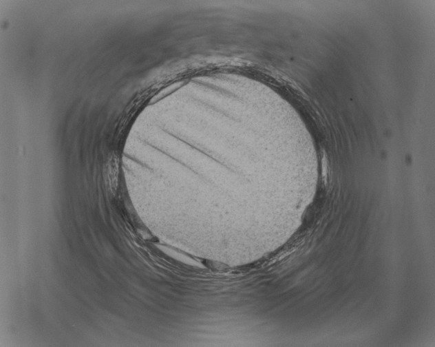 X0000067841492200605111629