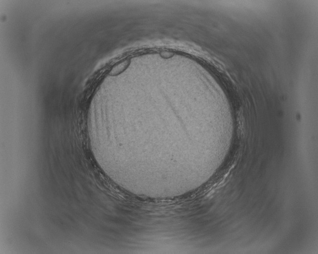 X0000067841494200605111629