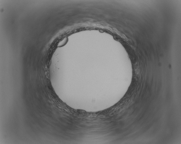 X0000067841495200605111629