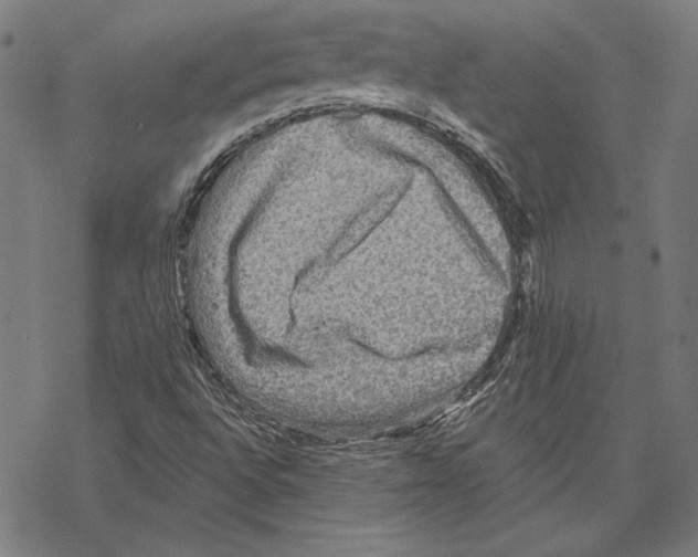 X0000067841496200605111629