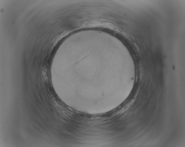 X0000067841497200605111629