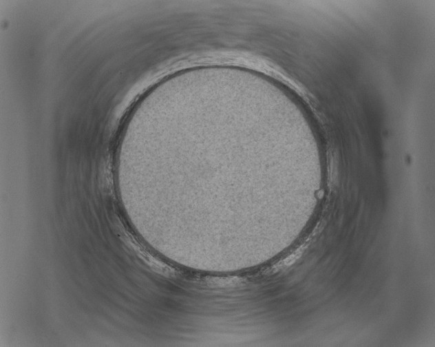 X0000067841498200605111629