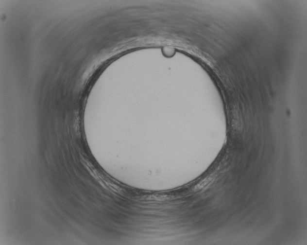 X0000067841499200605111629