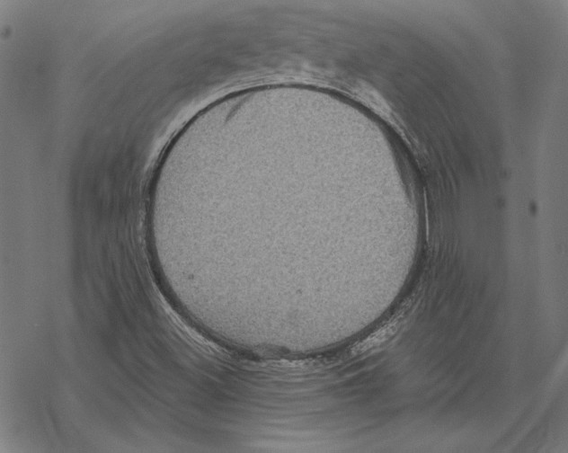 X0000067841500200605111629