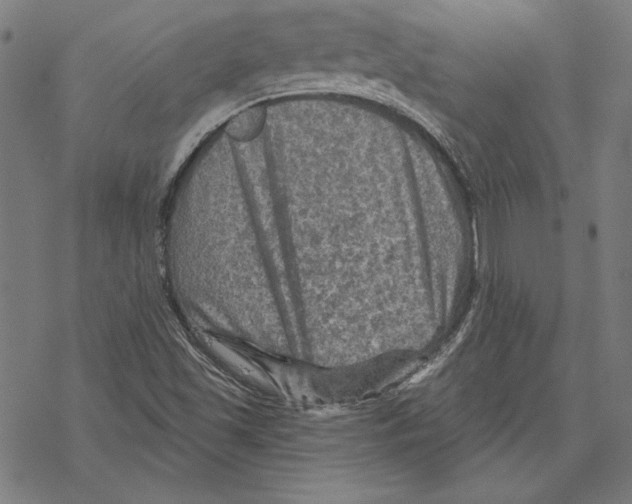 X0000067841501200605111629