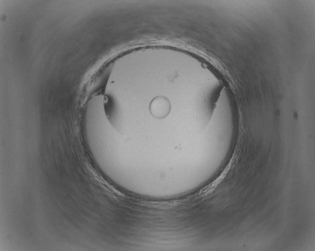 X0000067841502200605111629