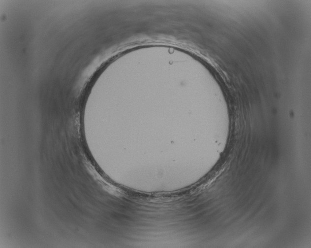 X0000067841503200605111629