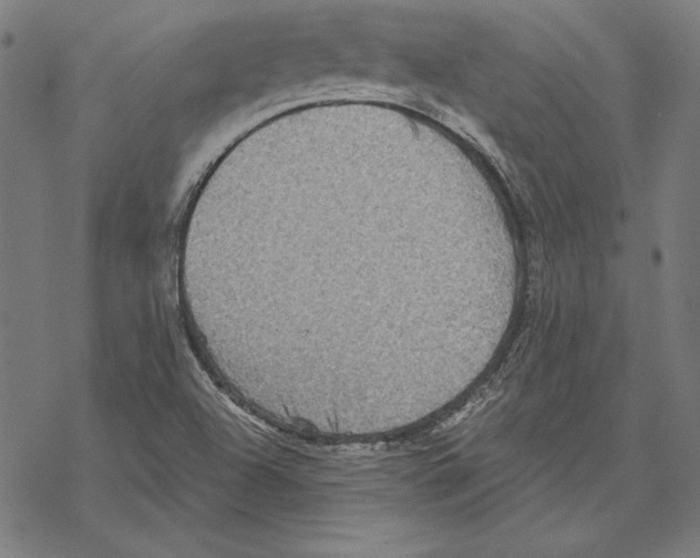 X0000067841504200605111629