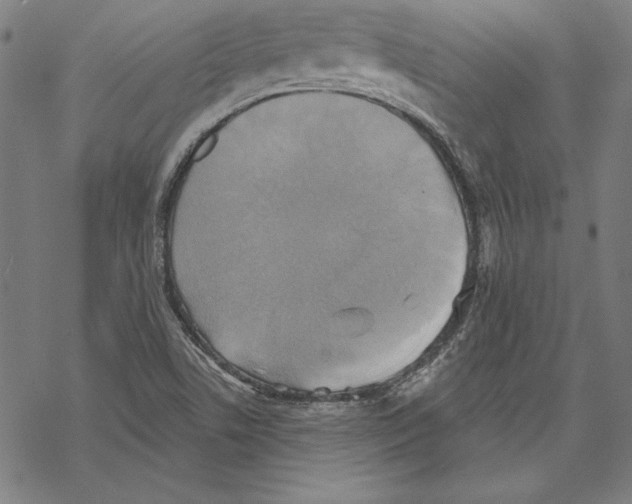 X0000067841506200605111629