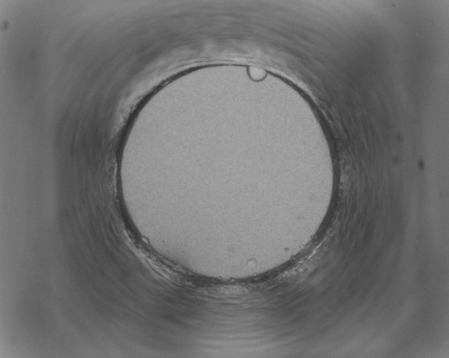 X0000067841507200605111629