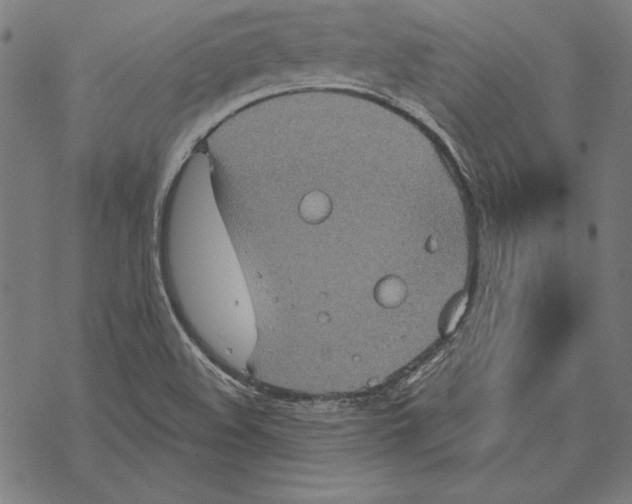 X0000067841508200605111629