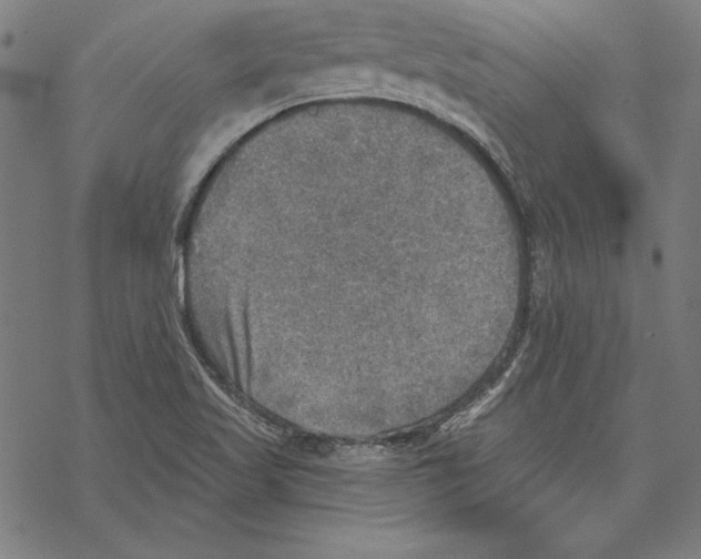 X0000067841509200605111629