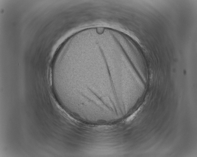 X0000067841510200605111629